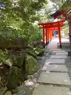來宮神社(静岡県)