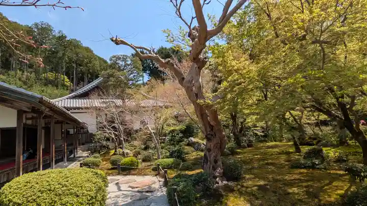 圓光寺(京都府)