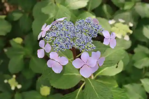西樂寺(静岡県)