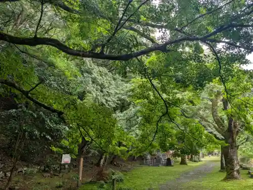金剛院(京都府)