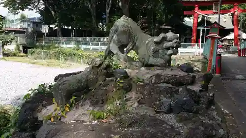 小室浅間神社の狛犬