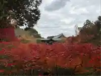 東福禅寺(東福寺)(京都府)