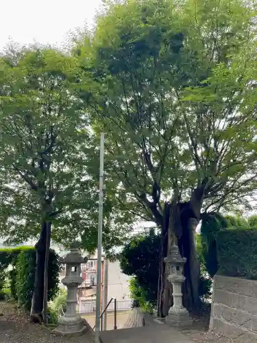 相模國分寺(神奈川県)