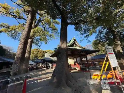 武蔵一宮氷川神社(埼玉県)