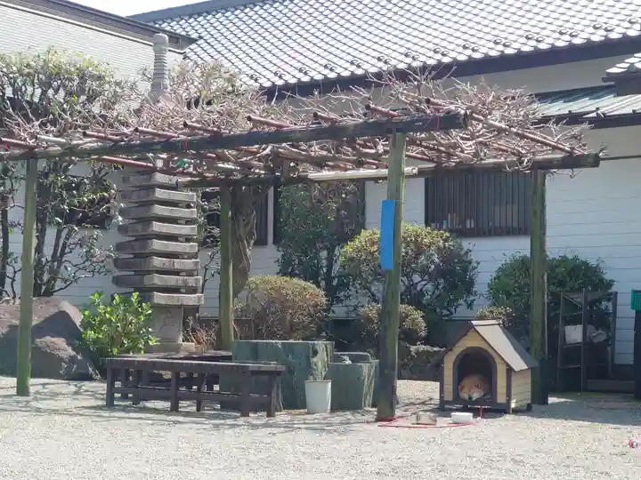 妙福寺(神奈川県)