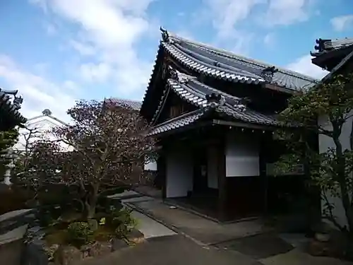 新德禅寺 (新徳寺)の本殿・本堂