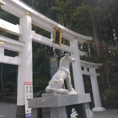 三峯神社(埼玉県)