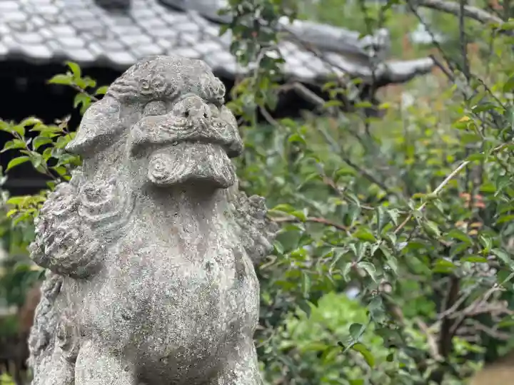 境香取神社の狛犬