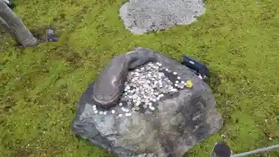 勝林寺(京都府)