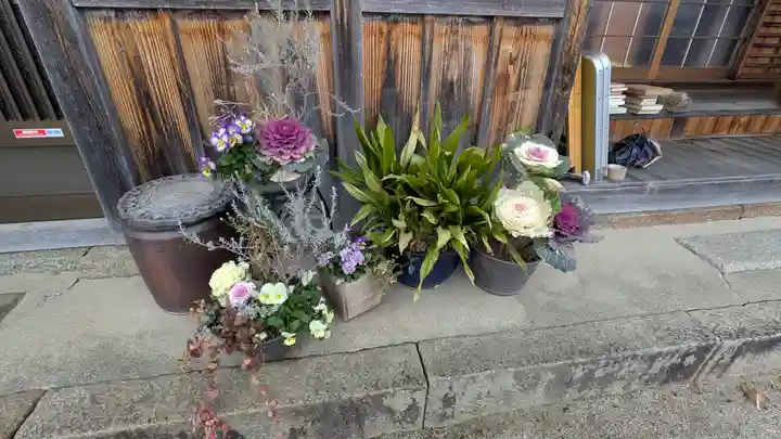 西岸寺(京都府)