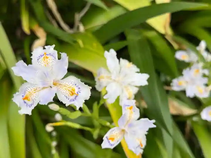 西方山極楽寺(岐阜県)