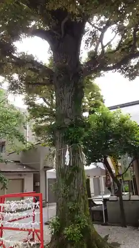蛇窪神社(東京都)