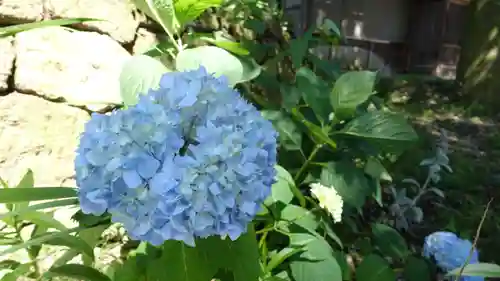 長谷神社　下社の自然
