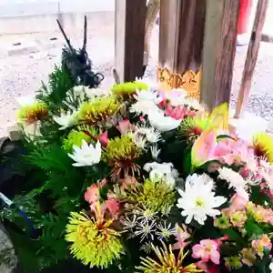 彌彦神社 (伊夜日子神社)の手水舎(2023年05月28日(日) 15時32分59秒投稿)