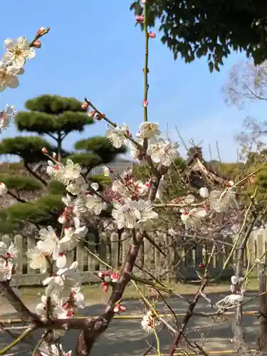 曽根天満宮の庭園