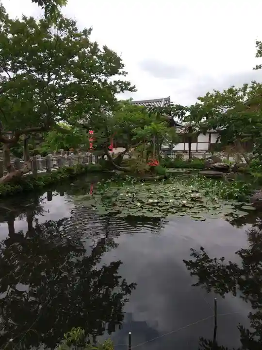 圓照寺(埼玉県)