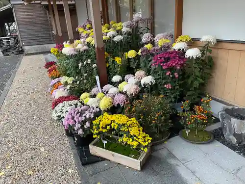 美奈宜神社の自然