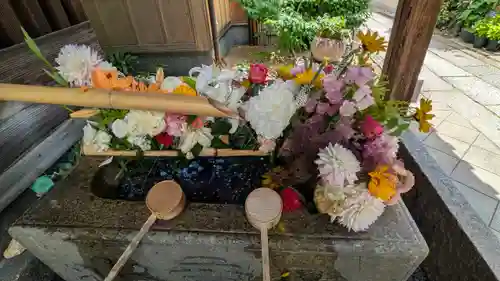 勝林寺(京都府)