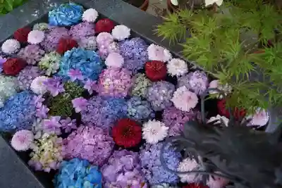 東海市熊野神社の手水舎