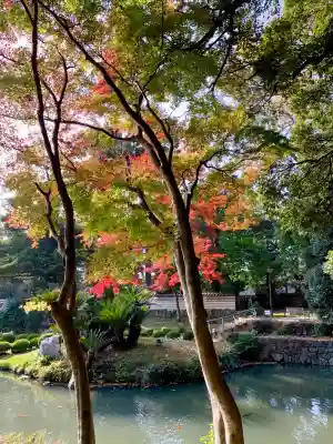 出雲大社北島国造館 出雲教(島根県)