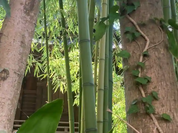 亀岡八幡宮(亀岡八幡神社)(神奈川県)