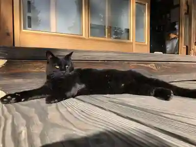 高司神社〜むすびの神の鎮まる社〜(福島県)