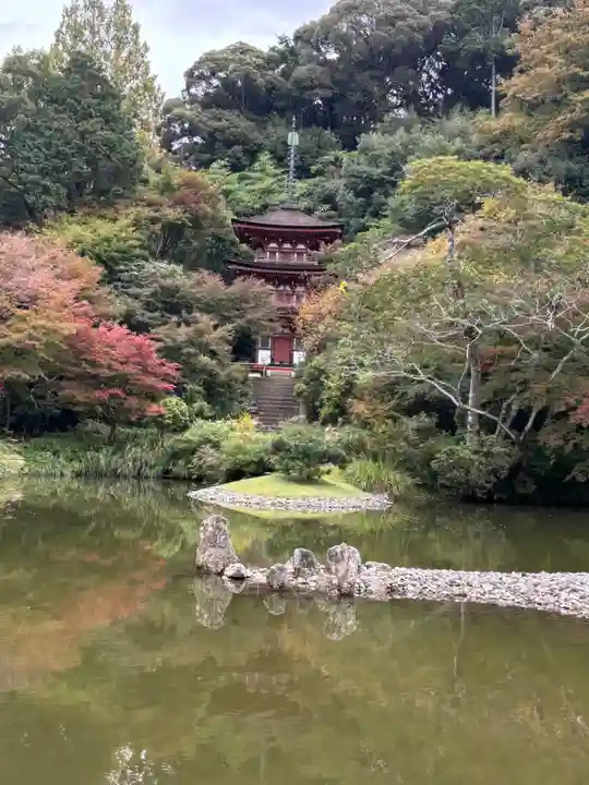 浄瑠璃寺(京都府)