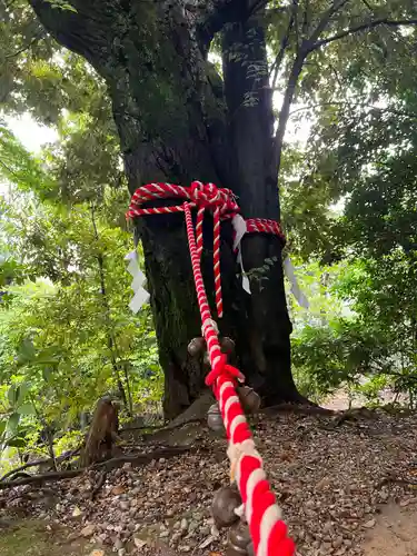 白山宮のその他建物