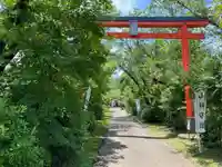 白鬚神社の鳥居