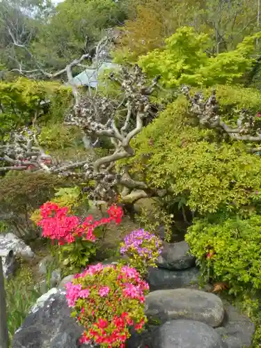 浄光明寺の庭園