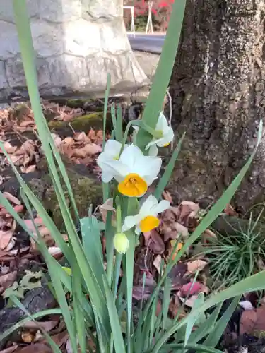 手力雄神社の自然