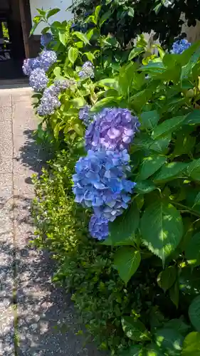 尊陽院(京都府)