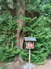 伊佐須美神社(福島県)