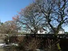 高麗神社(埼玉県)