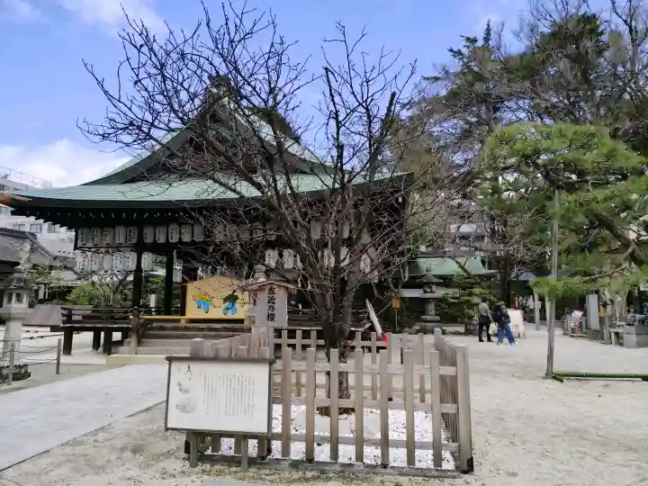 白峯神宮の{uncategorized: "未分類", other: "その他", undefined: "問題あり", building: "その他建物", grave: "お墓", sacred_gate: "鳥居", guardian: "狛犬", statue: "像", buddha: "仏像", history: "歴史", nature: "自然", garden: "庭園", animal: "動物", pagoda: "塔", temizu: "手水舎", mountain_gate: "山門・神門", sanctuary: "本殿・本堂", subordinate: "末社・摂社", art: "芸術", scenery: "景色", jizo: "地蔵", ema: "絵馬", goshuin: "御朱印", omikuji: "おみくじ", items: "授与品その他", amulet: "お守り", goshuincho: "御朱印帳", eats: "食事", festival: "お祭り", votive_dance: "神楽", shichigosan: "七五三参", wedding: "結婚式", experience: "体験その他", initially: "初詣", around: "周辺", anti_infection: "感染症対策"}