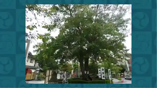 鎮守氷川神社(埼玉県)