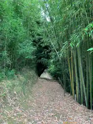 駒形神社の周辺