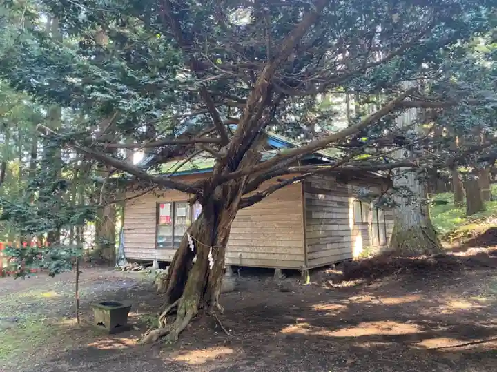 七崎神社の自然