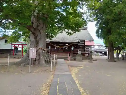 白鳥神社の本殿