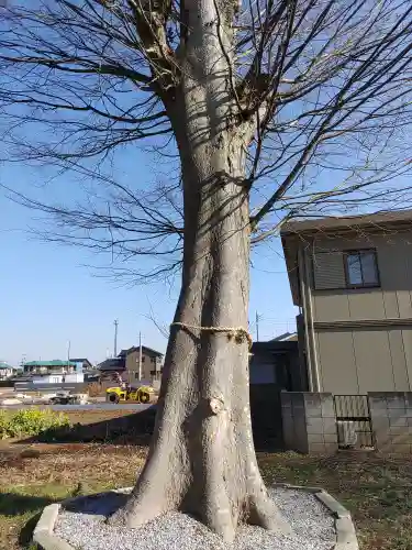 雀宮神社(栃木県)
