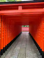 三光稲荷神社の鳥居