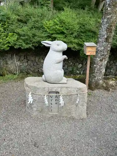 出雲大神宮の狛犬