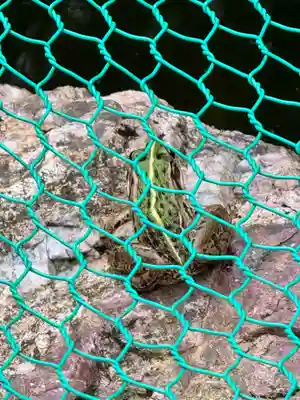 彌美神社(福井県)