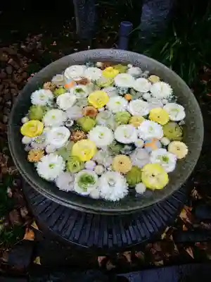 行田八幡神社(埼玉県)
