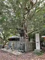 熊野速玉大社(和歌山県)