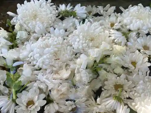 菊名神社(神奈川県)