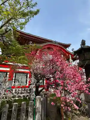 大須観音 (北野山真福寺宝生院)(愛知県)