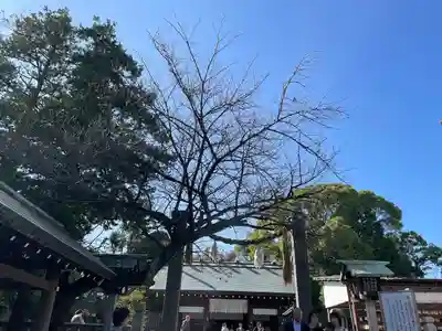 伊勢山皇大神宮(神奈川県)