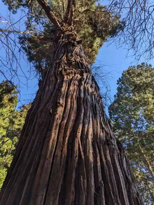 志和稲荷神社(岩手県)