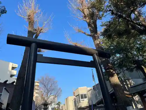 高円寺氷川神社の鳥居